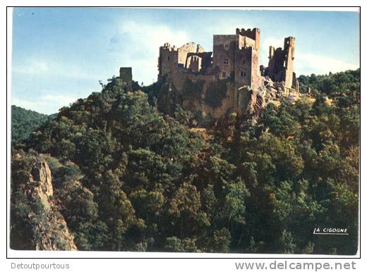 couleur horiz (30).jpg